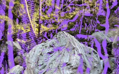 Laura Agnusdei / Free Piece of Tape