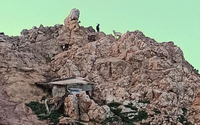 Daniele De Santis & Dario Papavassiliou