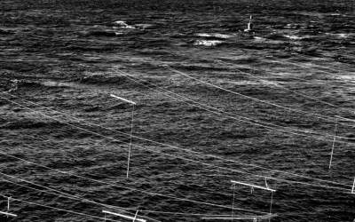 Optical Scores: Þóranna Björnsdóttir / Áki Ásgeirsson / Árni Kristinsson / Stefanos Skialivas